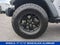 2021 Jeep Wrangler Unlimited Willys 4x4